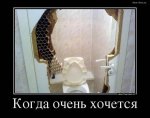 3989(1).jpg