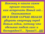как встретить новый год.jpg