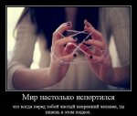 2924(1).jpg