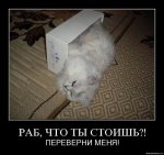 2955(1).jpg