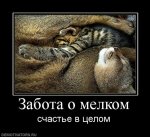 383073_zabota-o-melkom.jpg