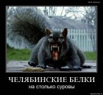 2557(1).jpg