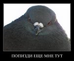 2654(1).jpg