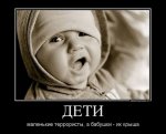 2666(1).jpg