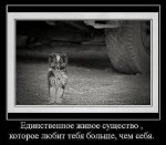 2707(1).jpg