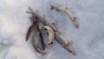 20160103_132549.jpg