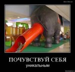 2420(1).jpg