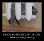 2444(1).jpg