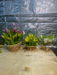 IMG_20160306_180227.jpg
