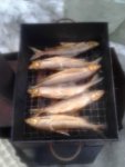 IMG_20160407_165413.jpg