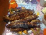 IMG_20160407_202506.jpg