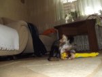1IMG_1636.jpg