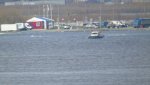 DSC02117.jpg