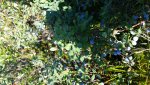 20160802_172127.jpg