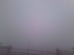ImageUploadedByTapatalk1338430640.561476.jpg