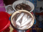 DSCN1325.JPG