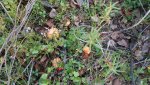 20160816_184958.jpg