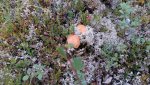 20160816_193416.jpg