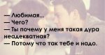38_image.jpg