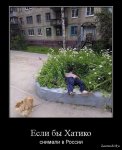 11622-Rossijskij-Hatiko.jpg