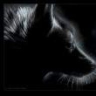 Black Fox