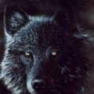 BlackWolf