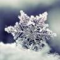 Snowflake89