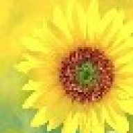 Летящая звезда