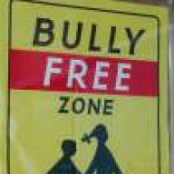 Bully
