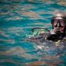 Divemaster
