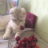 murat
