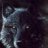 BlackWolf